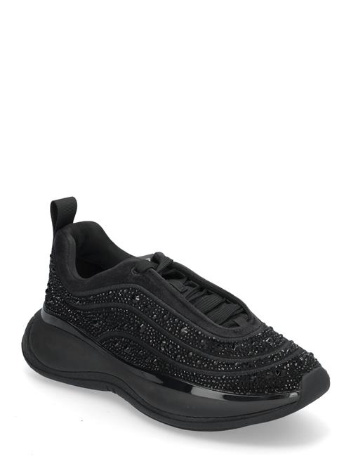 Steve Madden Flash 2R Sneaker Steve Madden Black