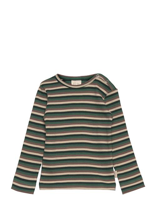 Petit Piao T-Shirt L/S Modal Multi Striped Petit Piao Green