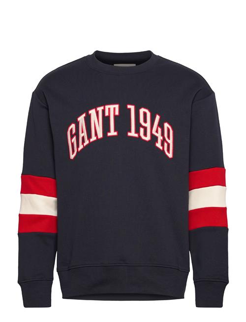 Colorblock Sleeve Cneck GANT Navy