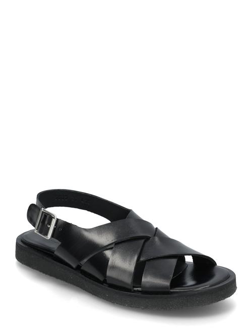 ANGULUS Sandals - Flat - Open Toe - Op ANGULUS Black