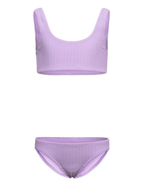 Nola Molo Purple