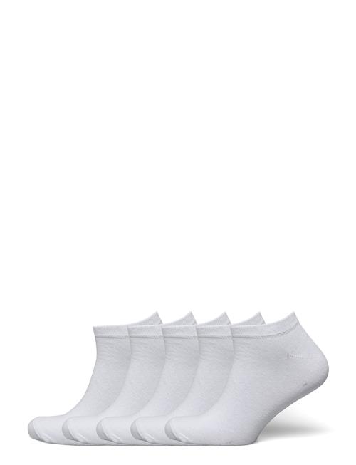 5 Pk Low Cut Sock Lindbergh White