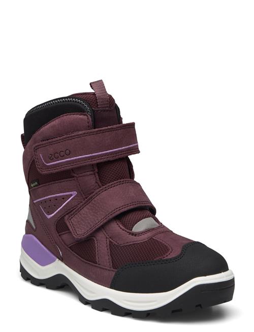 ECCO Snow Mountain ECCO Purple