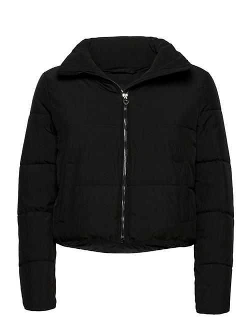 ONLY Onldolly Short Puffer Jacket Otw ONLY Black