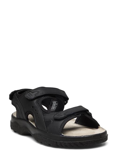 Loop Marstrand Sandal Brun 46 Marstrand Black