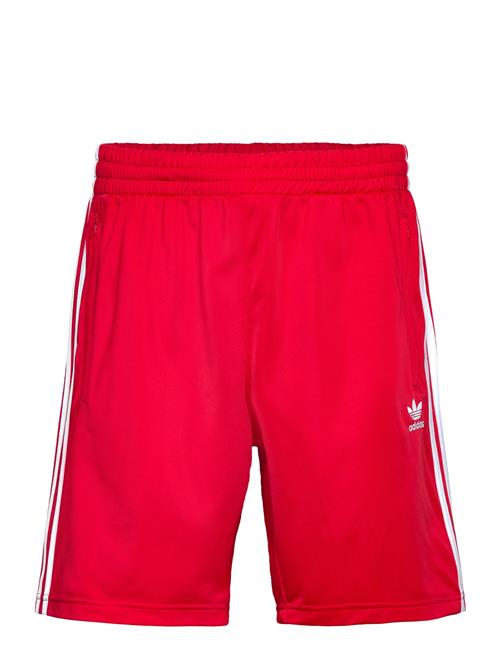 Firebird Short Adidas Originals Red