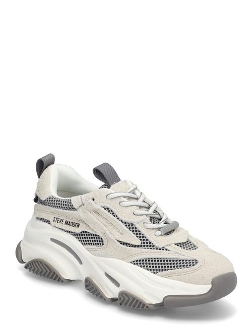 Steve Madden Possession-E Sneaker Steve Madden Grey