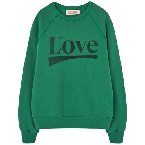 The Animals Observatory Shark Kid Sweatshirt Green | Grønn | 8 years