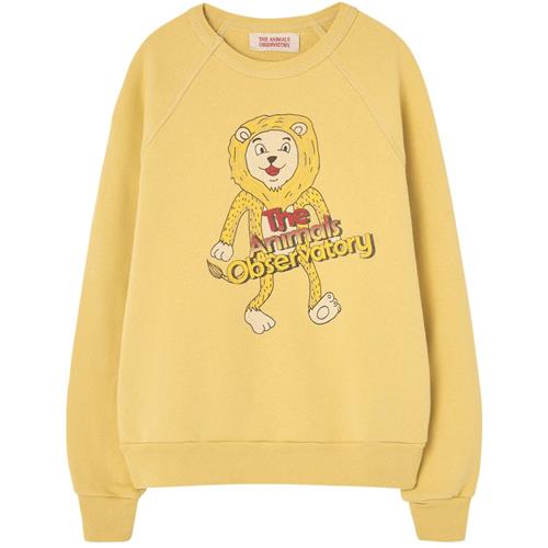 The Animals Observatory Shark Kid Sweatshirt Yellow | Gul | 14 years