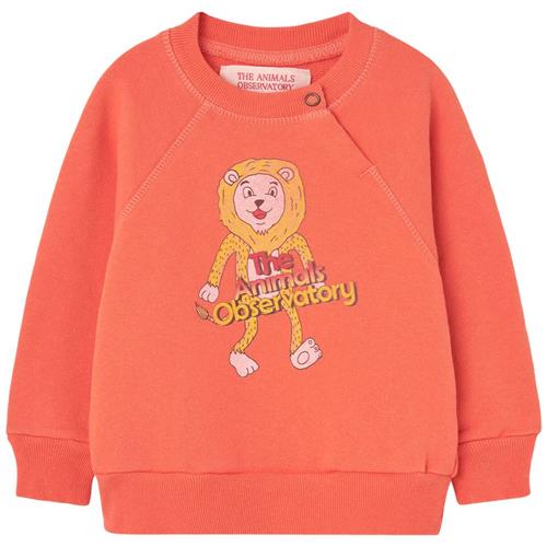 The Animals Observatory Jackal Baby Sweatshirt Salmon | Lyserød | 36 months