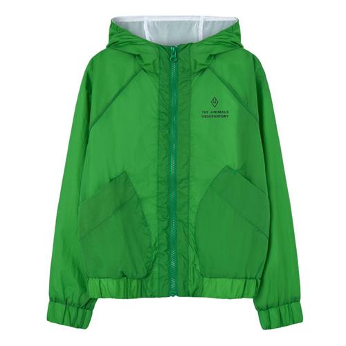 The Animals Observatory Fox Kid Vindjakke Green 6 Y  Grøn  6 år  Unisex