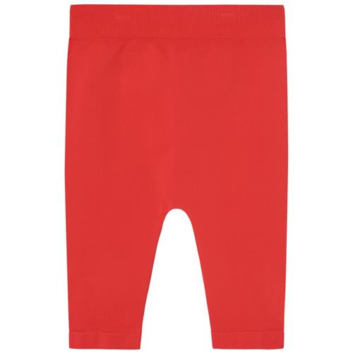 The Animals Observatory Sardine Kid Leggings Red | Rød | 7-9 years