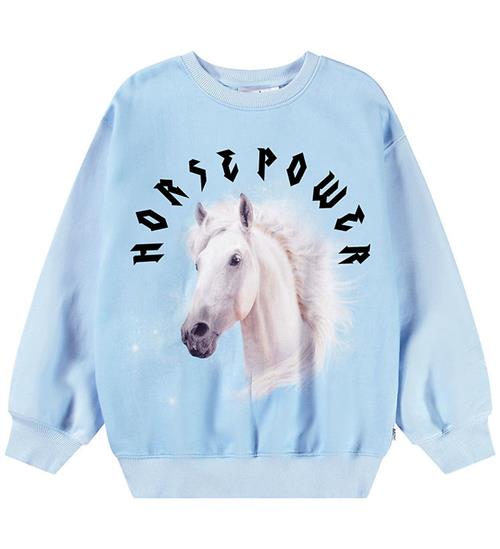 Molo Sweatshirt - Monti - HorsePower