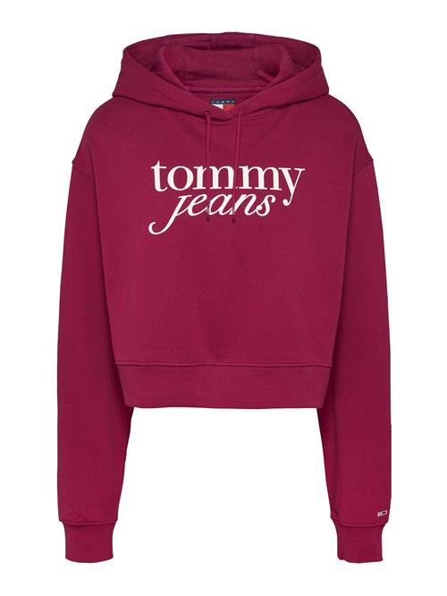 Tommy Jeans Sweatshirt  vinrød / hvid