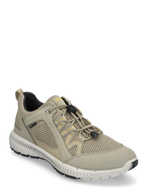 ECCO Terracruise Ii W ECCO Beige