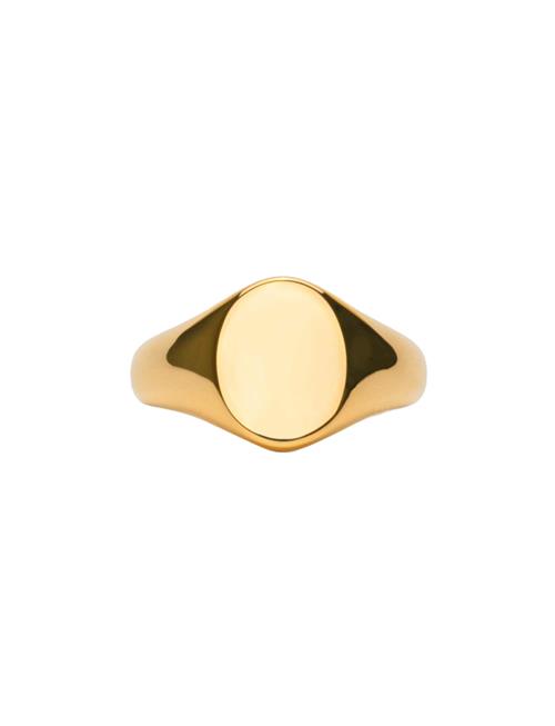 IX Studios Ix Mini Oval Signet Ring IX Studios Gold