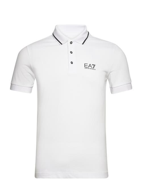 EA7 Polo EA7 White