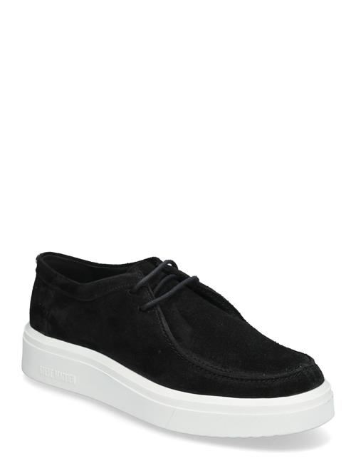 Steve Madden Fayles Sneaker Steve Madden Black