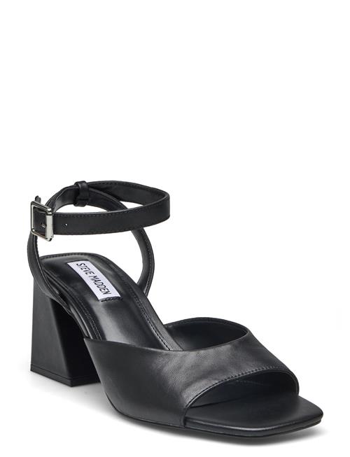 Glisten Sandal Steve Madden Black