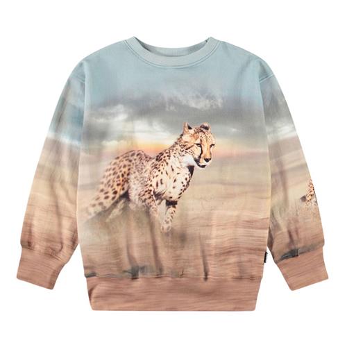 Molo Mattis Sweatshirt Running Cheetahs | Brun | 104 cm