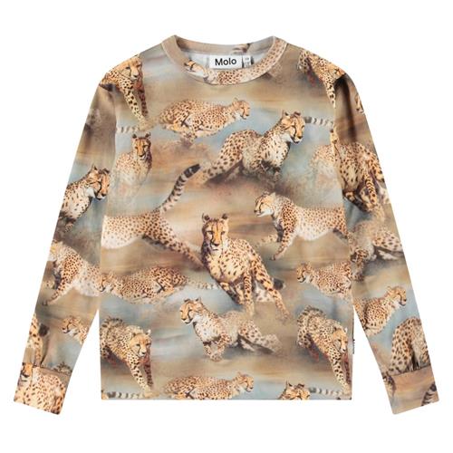 Molo Rill Long-Sleeved T-Shirt Fast Cheetahs | Beige | 128 cm