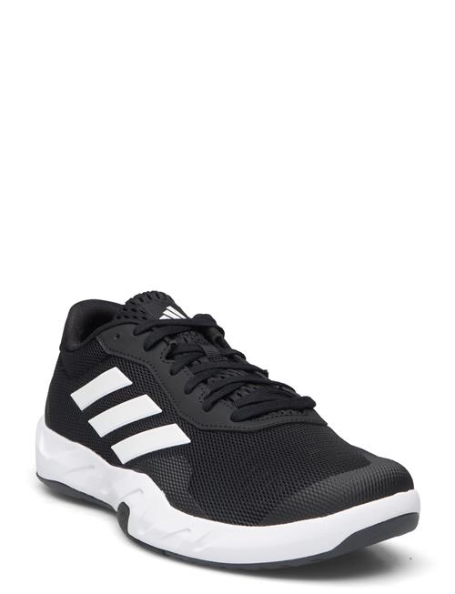 adidas Performance Amplimove Trainer M Adidas Performance Black