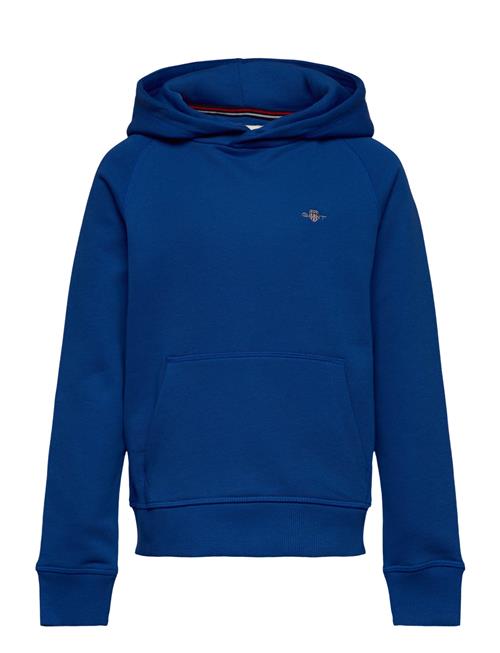 GANT Shield Hoodie GANT Blue