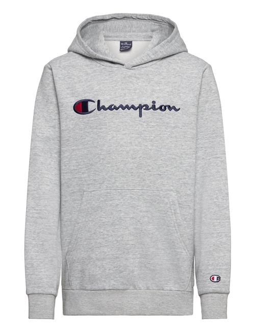 Champion Hooded Sweatshirt Champion Grey