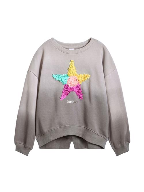 Desigual Sweatshirt  grå / blandingsfarvet