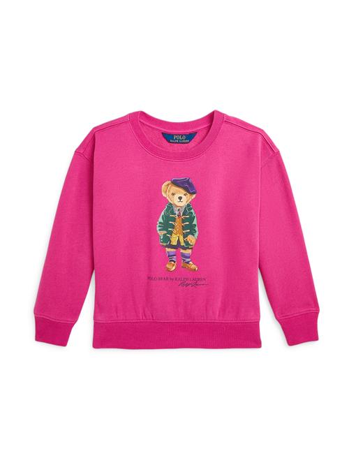 Polo Ralph Lauren Sweatshirt  karamel / gran / violetblå / pink