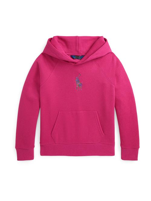 Polo Ralph Lauren Sweatshirt  royalblå / mørk pink