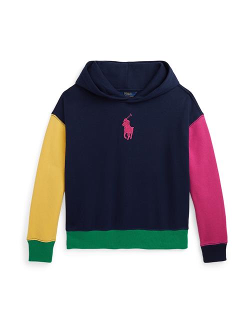 Polo Ralph Lauren Sweatshirt  marin / gul / grøn / mørk pink