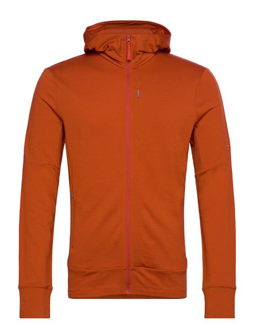 Icebreaker M Mer 260 Quantum Iv Ls Zip Hoodie Icebreaker Brown