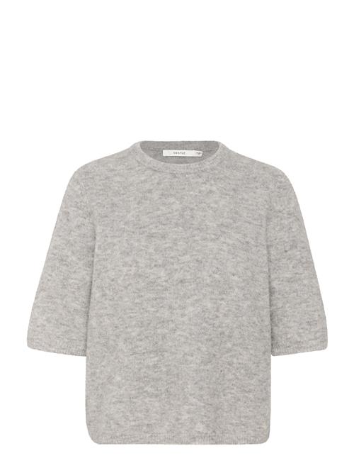 Alphagz Ss Tee Noos Gestuz Grey