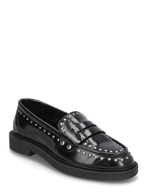 Harloe Loafers Steve Madden Black