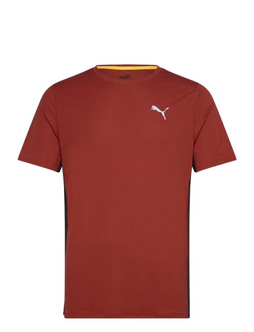 Run Favorite Velocity Tee PUMA Burgundy