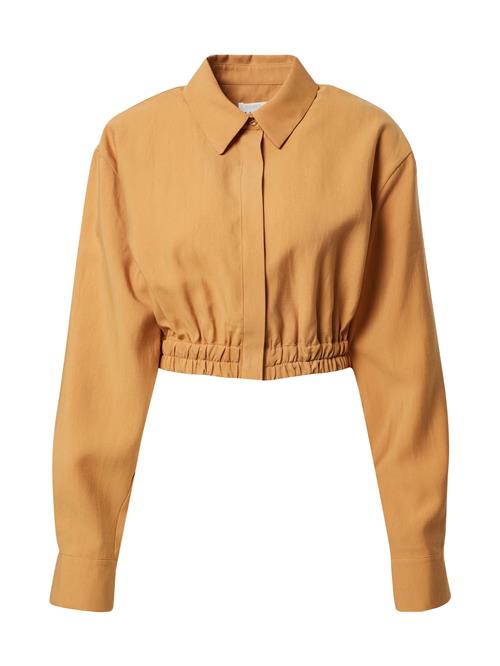 Kendall for ABOUT YOU Bluse 'Charlie'  camel