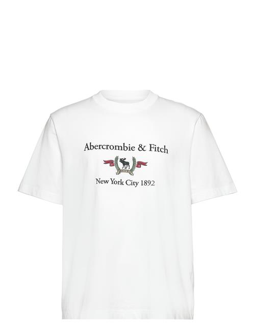 Abercrombie & Fitch Anf Mens Graphics Abercrombie & Fitch White