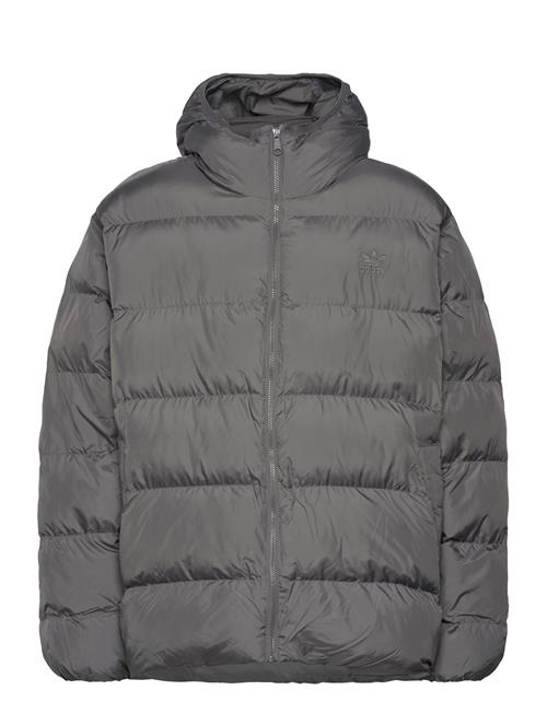 Adidas Originals Tonal Hooded Puffer Adidas Originals Grey