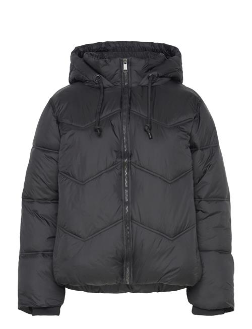 Fqshorty-Jacket FREE/QUENT Black