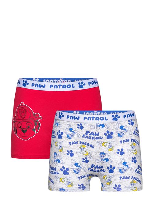 Boxer Paw Patrol Red