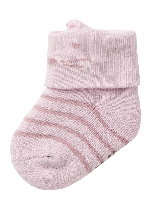 Nbftaddas Terry Frotte Sock Name It Pink