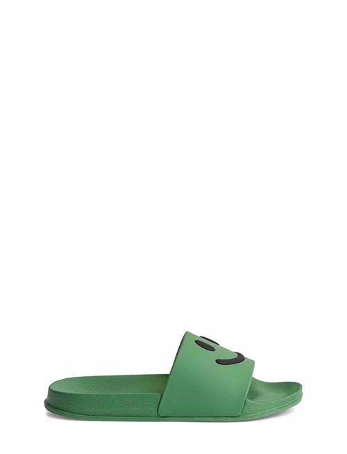 Zhappy Molo Green