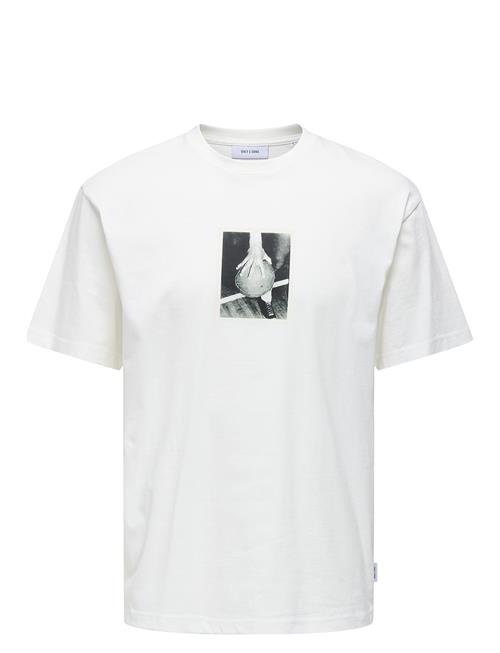 ONLY & SONS Onsdash Rlx Ss Tee Vd ONLY & SONS White