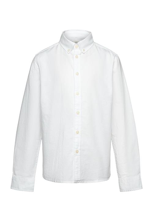 100 Cotton Oxford Shirt Mango White