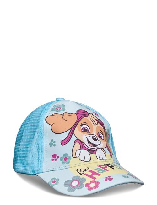 Paw Patrol Caps Paw Patrol Blue