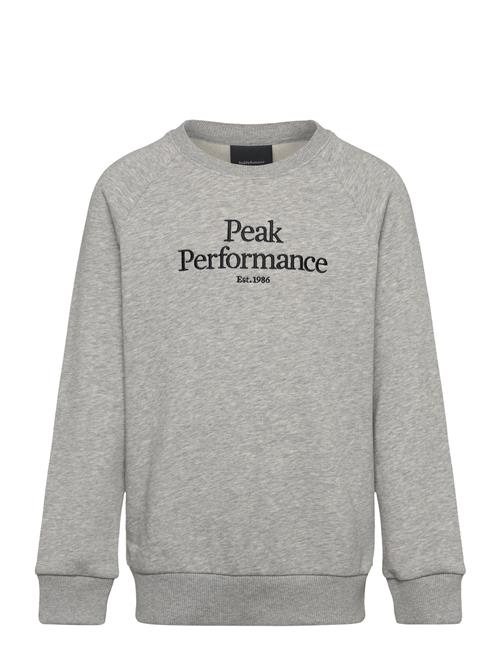 Peak Performance Jr Rider Belt Peak Performance Grey