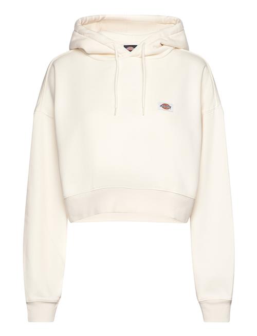 Oakport Cropped Hoodie W Dickies Cream