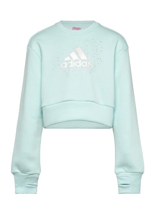 Jg Glm Crew Adidas Sportswear Blue