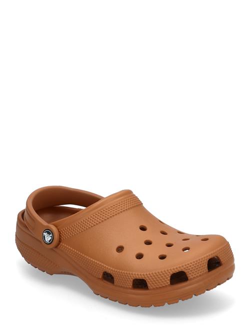 Classic Crocs Brown